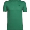 Icebreaker Mens Merino Tech Lite Short Sleeve Crewe Shirt Green L -Cheap Icebreaker Shop 100898309 1 1