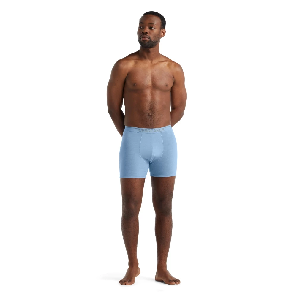 Icebreaker Merino Anatomica Mens Boxers Island 2XL 5 Icebreaker Merino Anatomica Mens Boxers Island 2XL - Image 3