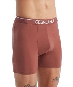 Icebreaker Merino Anatomica Mens Boxers Grape