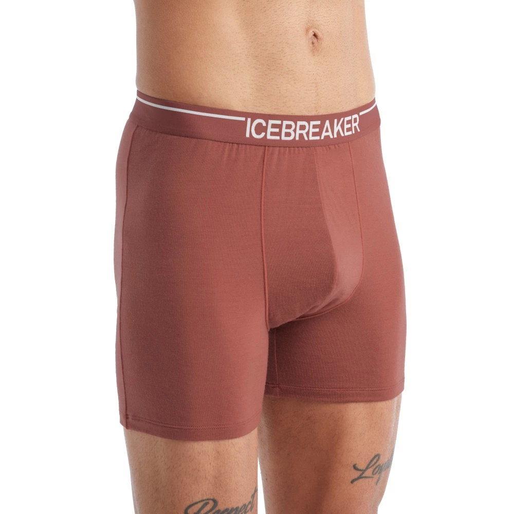 Icebreaker Merino Anatomica Mens Boxers Grape 3 Icebreaker Merino Anatomica Mens Boxers Grape