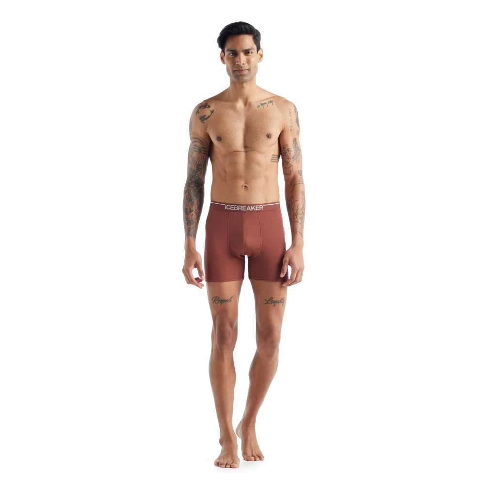 Icebreaker Merino Anatomica Mens Boxers Grape 6 Icebreaker Merino Anatomica Mens Boxers Grape - Image 4