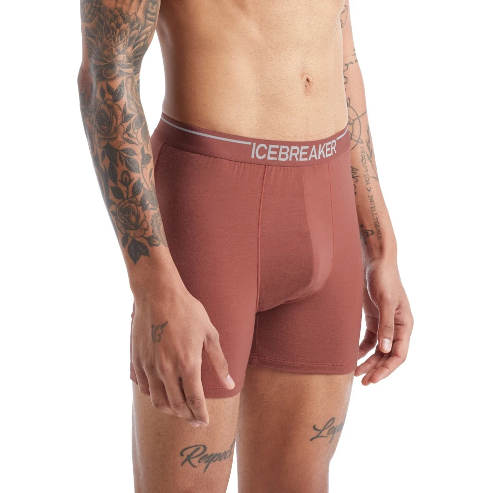 Icebreaker Merino Anatomica Mens Boxers Grape 5 Icebreaker Merino Anatomica Mens Boxers Grape - Image 3