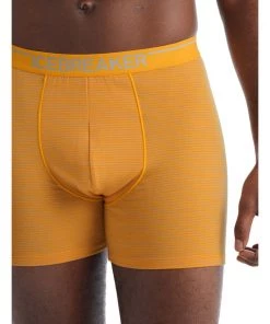 Icebreaker Merino Anatomica Mens Boxers Yellow -Cheap Icebreaker Shop 103029390 6 2