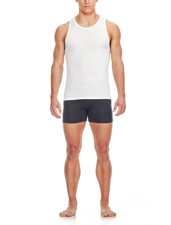 Icebreaker Mens Merino Anatomica Tank Snow 5 Icebreaker Mens Merino Anatomica Tank Snow - Image 3