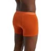 Icebreaker Merino Cool-Lite Anatomica Mens Boxers Spice 2XL 2 Icebreaker Merino Cool-Lite Anatomica Mens Boxers Spice 2XL -Cheap Icebreaker Shop 105246070 2 1