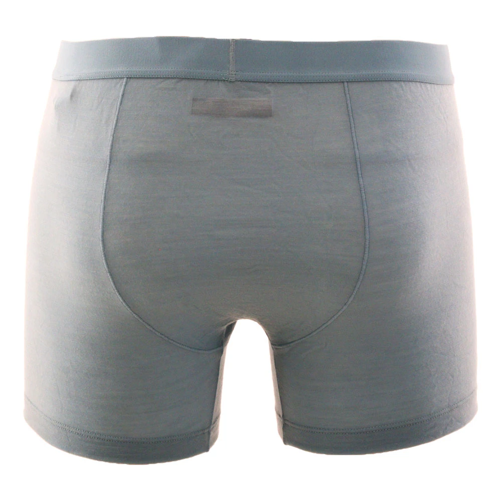 Icebreaker Cool-Lite Anatomica Mens Boxers Waterfall XL 4 Icebreaker Cool-Lite Anatomica Mens Boxers Waterfall XL - Image 2